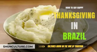Celebrate Gratitude: How to Say Happy Thanksgiving in Brazil