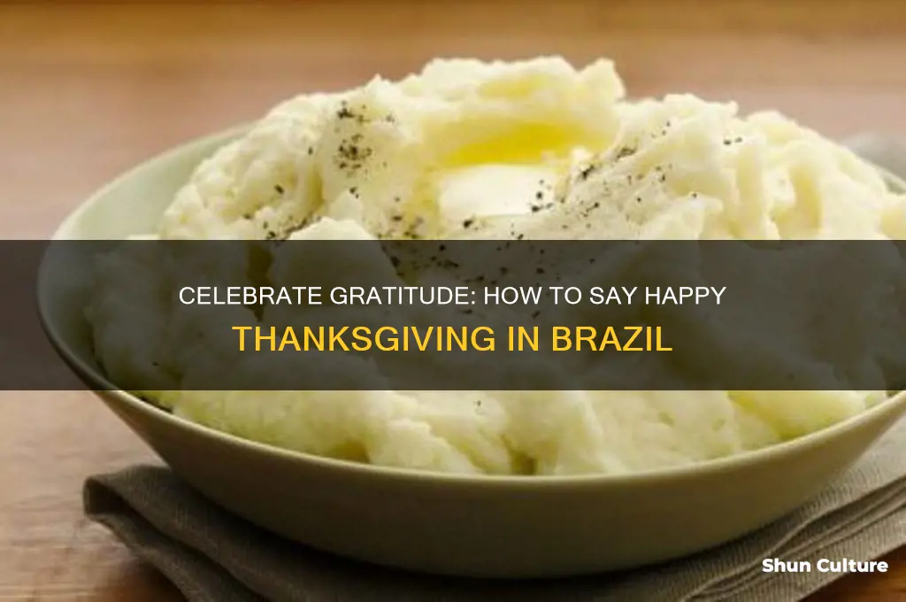 how to say happy thanksgiving in brazil