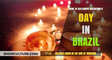 Celebrate Love Brazilian Style: Saying Happy Valentine's Day in Brazil