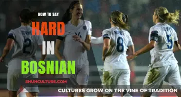 Mastering Bosnian Vocabulary: How to Express 'Hard' in Everyday Conversations
