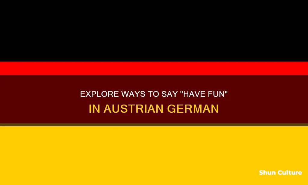 how to say have fun in austrian