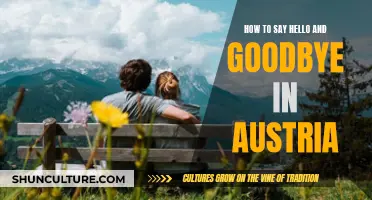 Greetings and Farewells: A Guide to Austrian Salutations