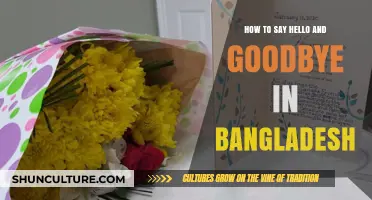 Greetings and Farewells: Mastering Hello and Goodbye in Bangladesh