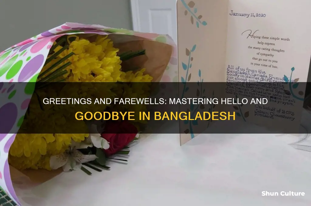 how to say hello and goodbye in bangladesh
