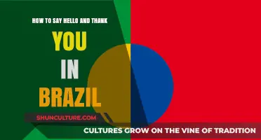 Mastering Basic Portuguese: Greetings and Gratitude in Brazilian Culture