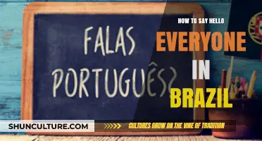 Greeting Brazilians: How to Say 'Hello Everyone' in Portuguese