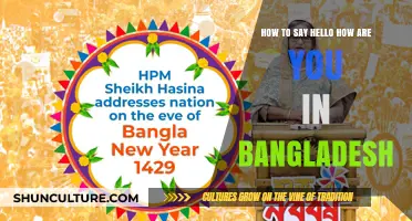 Greetings in Bangladesh: Learn to Say 'Hello, How Are You?