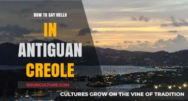 Greetings in Antigua: Mastering 'Hello' in Antiguan Creole