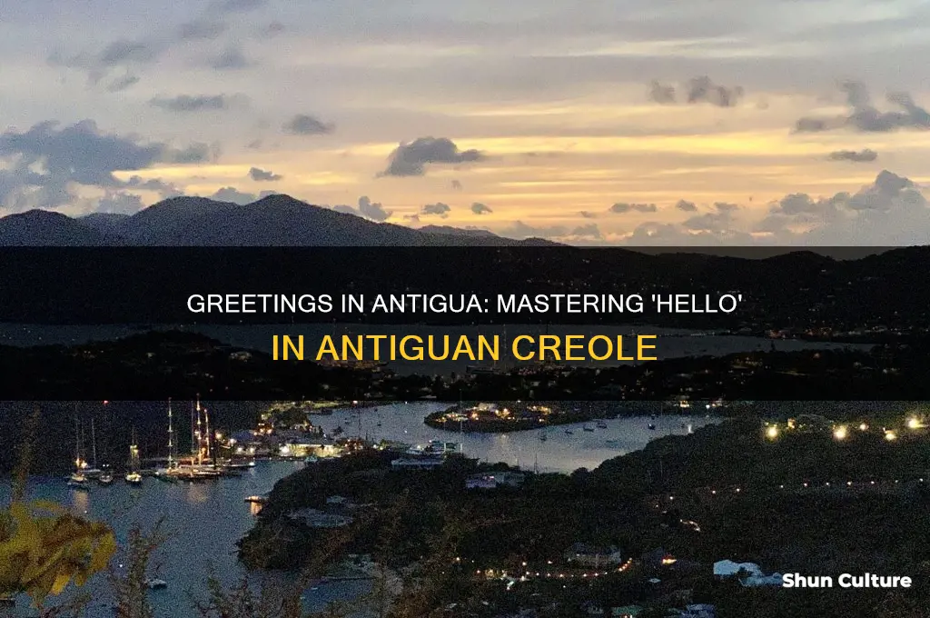 how to say hello in antiguan creole