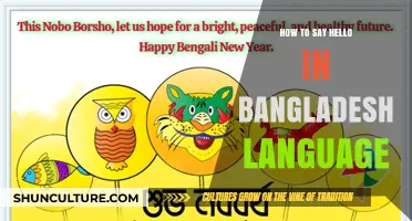 Greetings in Bengali: How to Say Hello in Bangladesh's Language