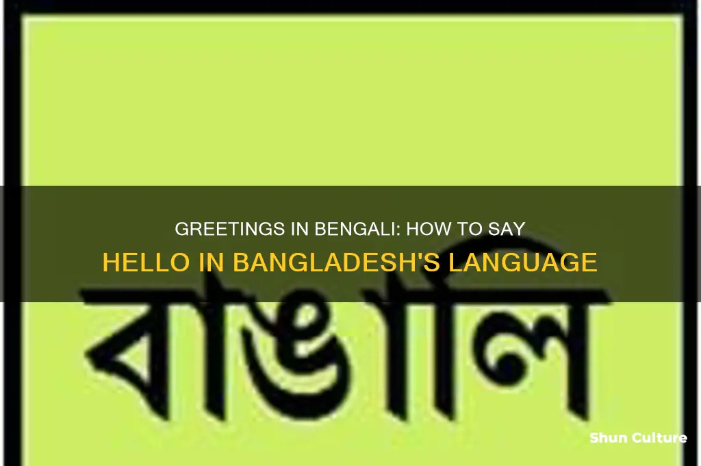 how to say hello in bangladesh language