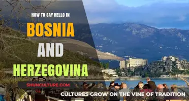 Greetings in Bosnia and Herzegovina: A Guide to Saying Hello