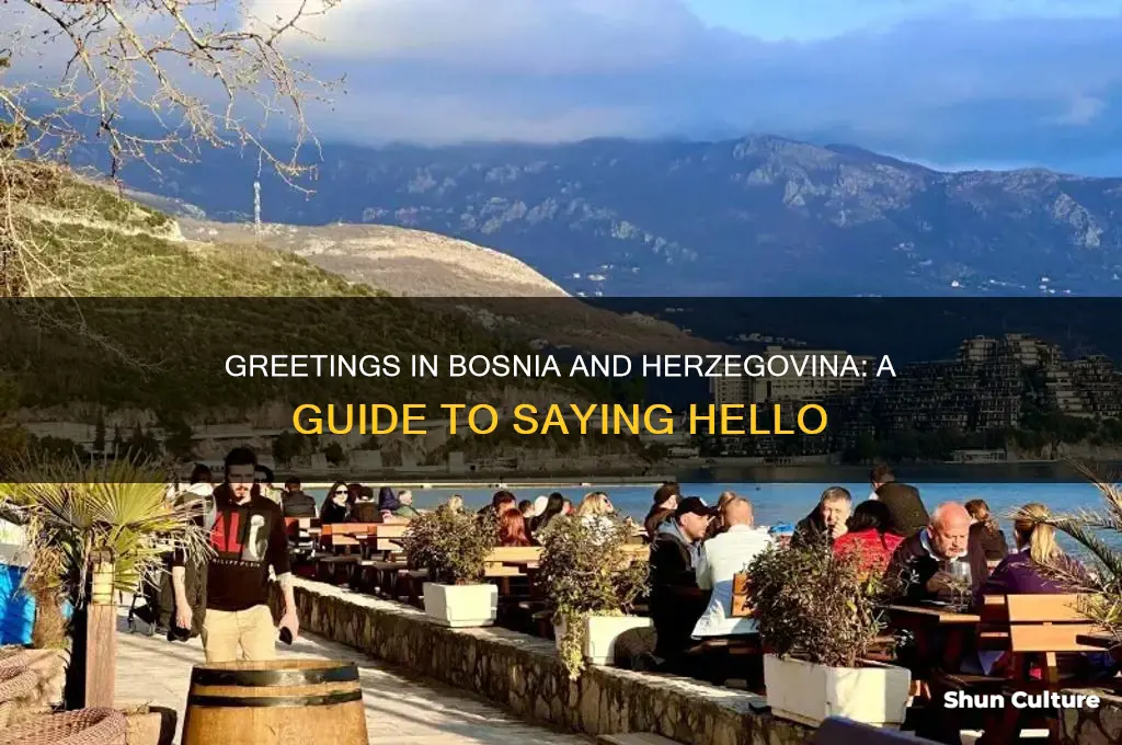 how to say hello in bosnia and herzegovina