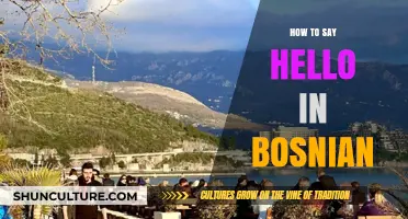 Mastering Bosnian Greetings: How to Say Hello Like a Local