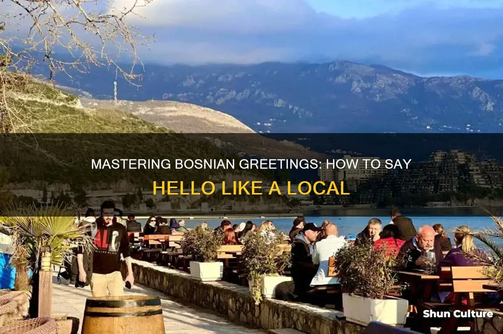 how to say hello in bosnian