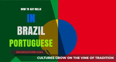 Mastering Brazilian Portuguese Greetings: How to Say Hello Like a Local