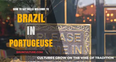 Say Hello and Welcome to Brazil in Portuguese: A Quick Guide