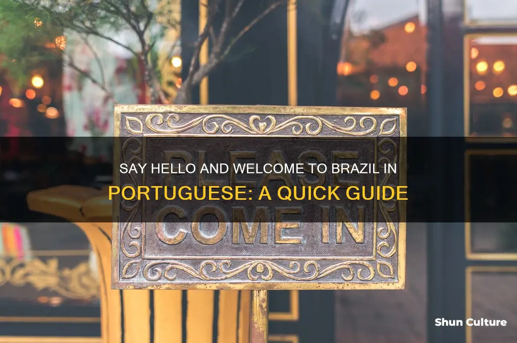 how to say hello welcome to brazil in portugeuse