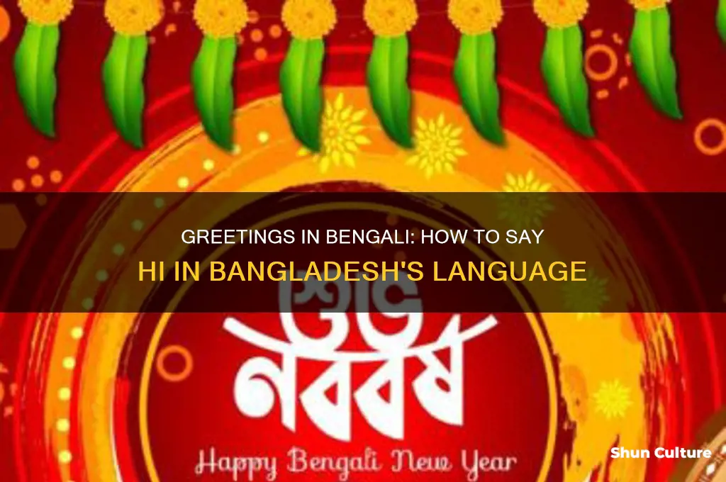 how to say hi in bangladesh language