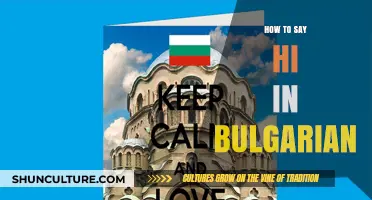 Greetings in Bulgarian: A Beginner's Guide to Saying Hi