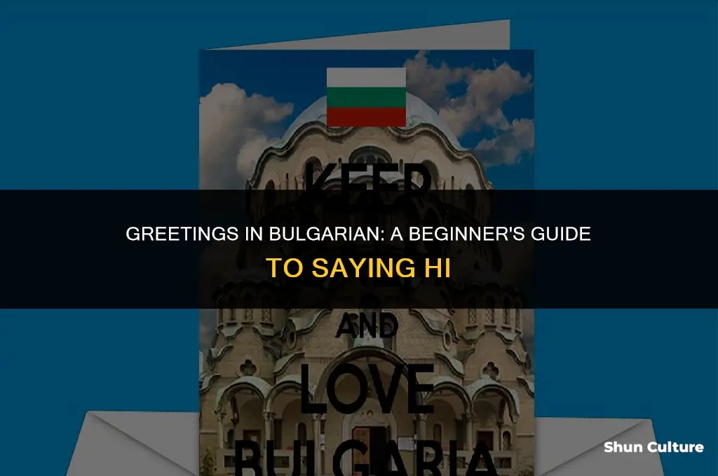 how to say hi in bulgarian