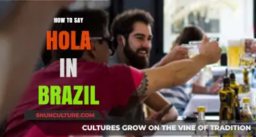 Greetings in Brazil: Mastering 'Hola' Alternatives for Authentic Connections
