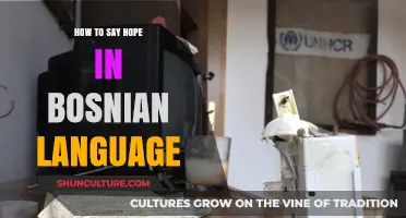 Expressing Hope in Bosnian: A Simple Guide to Saying 'Nade' Easily
