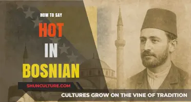 Mastering Bosnian Vocabulary: How to Express 'Hot' Like a Native Speaker