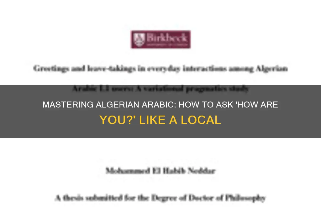 how to say how are you in algerian