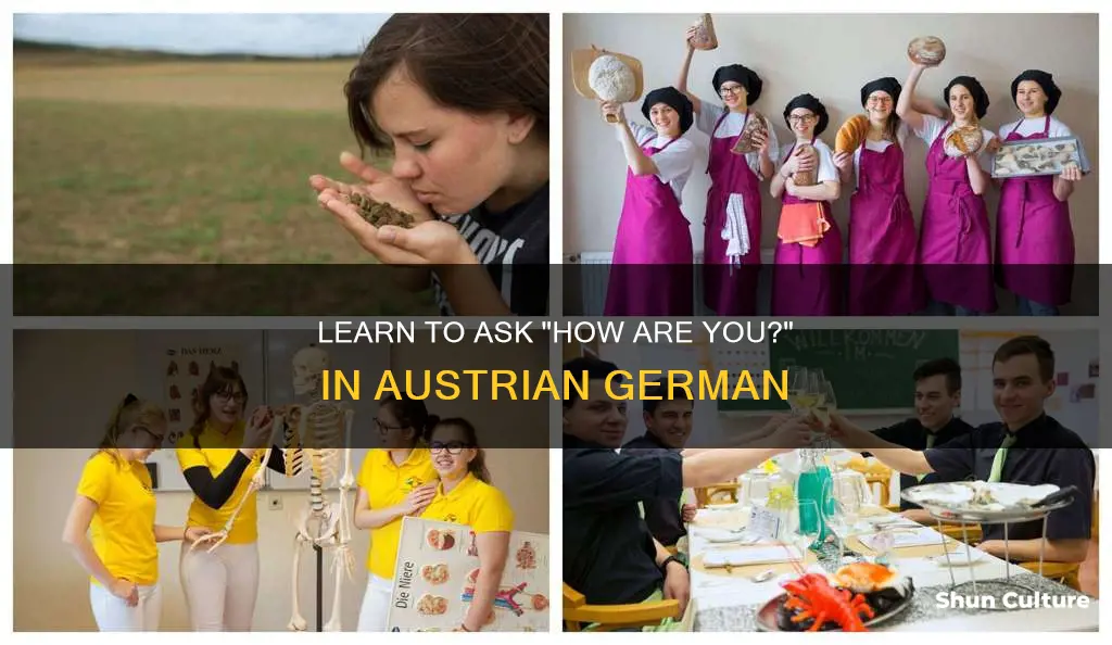 how to say how are you in austrian