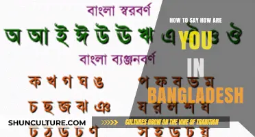 Greetings in Bangladesh: Mastering 'How Are You' in Bengali