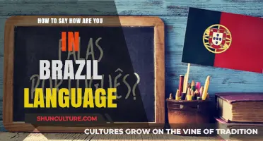 How to Say 'How Are You?' in Brazilian Portuguese: A Quick Guide