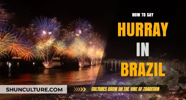Celebrate Like a Local: Mastering the Brazilian Way to Say Hurray