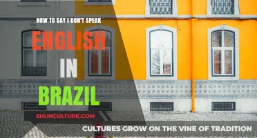 Essential Portuguese Phrases: How to Say 'I Don't Speak English' in Brazil