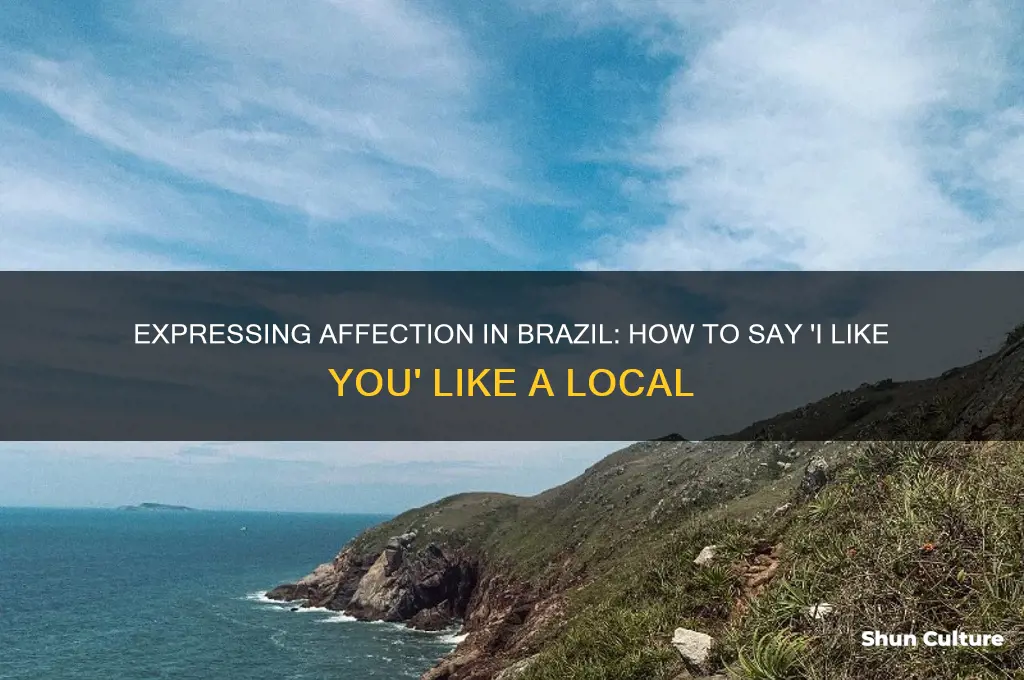 how to say I like you in brazil