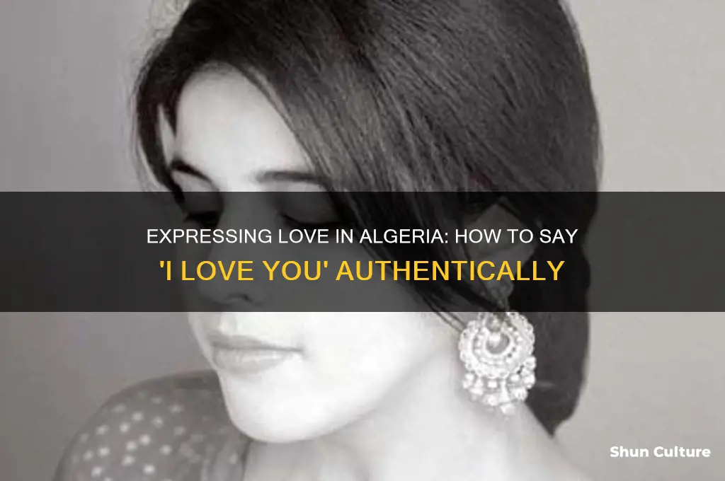 how to say I love you in algeria