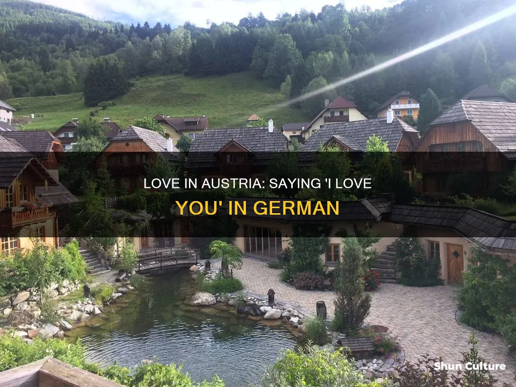 how to say I love you in austria