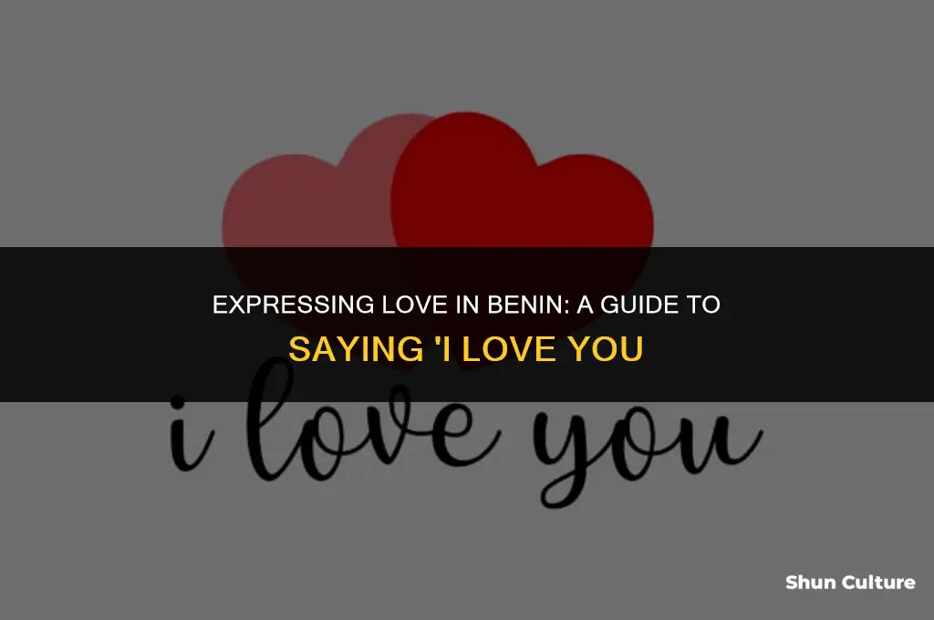 how to say I love you in benin language