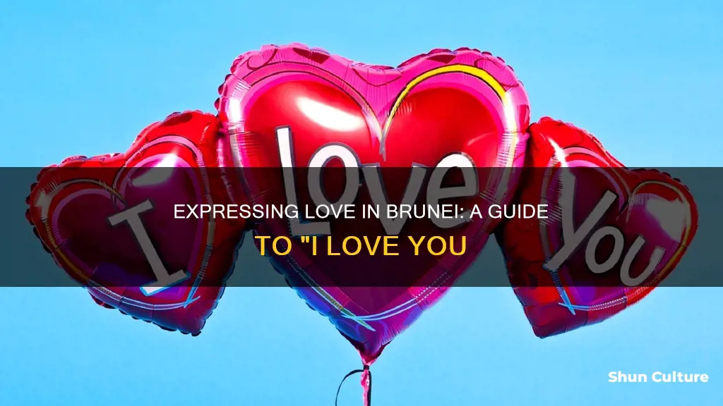 how to say I love you in brunei