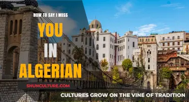 Expressing 'I Miss You' in Algerian Arabic: A Cultural Guide