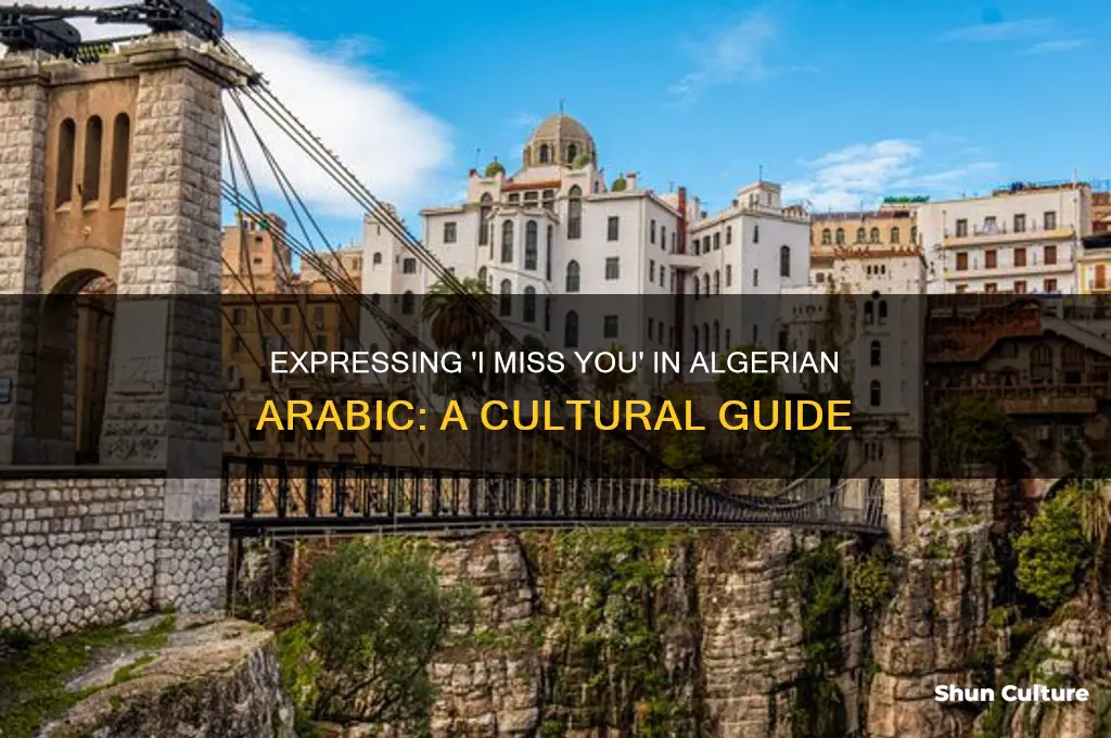 how to say I miss you in algerian