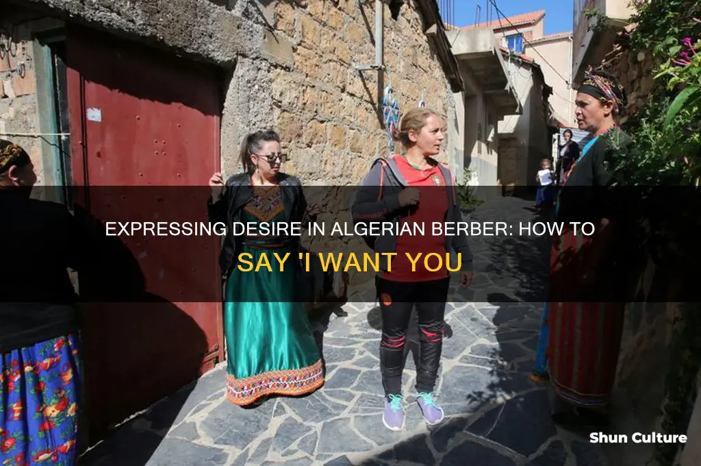 how to say I want you in berber algerian