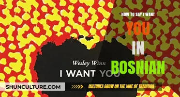 Expressing Desire: How to Say 'I Want You' in Bosnian Language