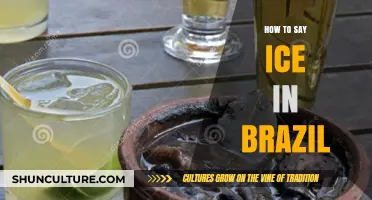 Discovering the Brazilian Word for Ice: A Quick Language Guide