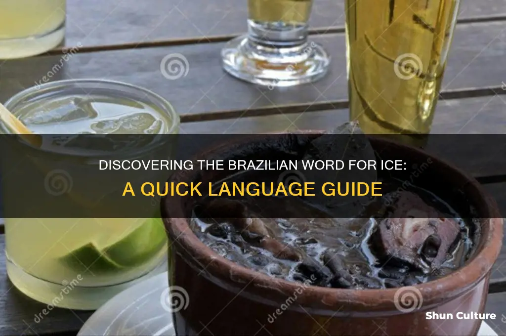 how to say ice in brazil