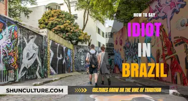 Mastering Brazilian Slang: How to Politely (or Not) Call Someone an Idiot
