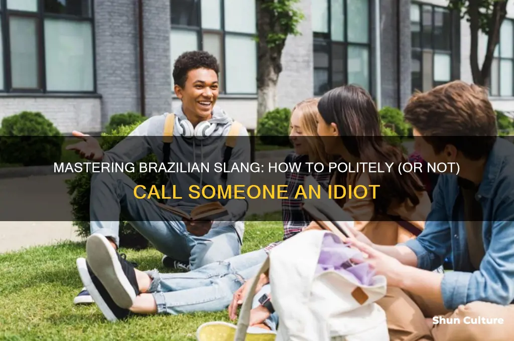 how to say idiot in brazil