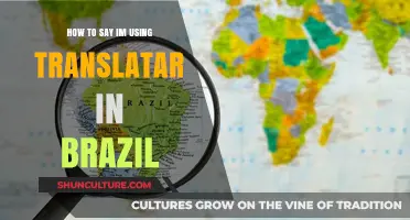Using Translation Tools in Brazil: How to Say 'I'm Using a Translator