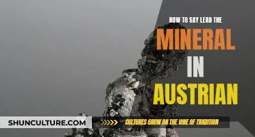 Mastering the Art of Saying 'Lead the Mineral' in Austrian