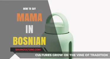 How to Say Mama in Bosnian: A Quick Language Guide